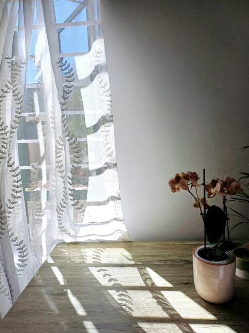 Holiday home Sunshine Haven Cape Town